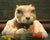 KAREN DUFFY - Fantastic Mr. Fox 8x10 (a)