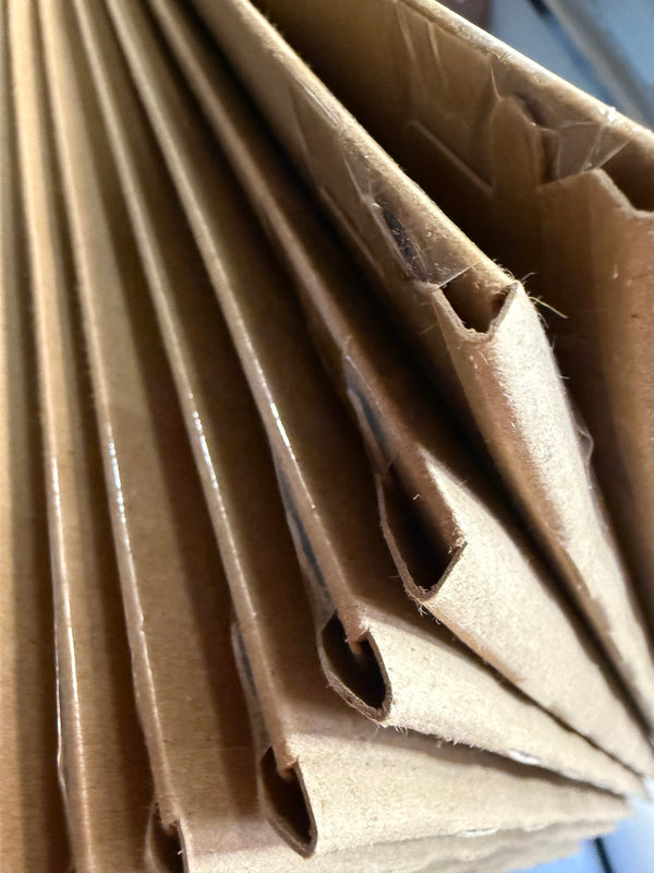 11x14 mystery pack of 3 autographs