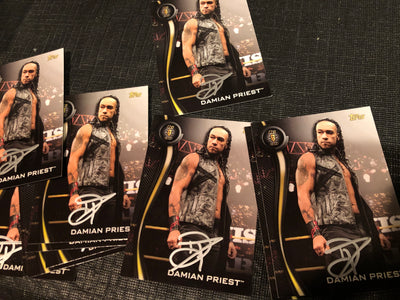 DAMIAN PRIEST - NXT WWE Trading Card